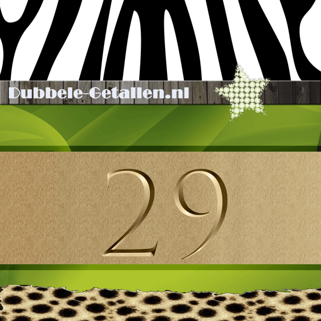 Nummer 29 - Dubbele Getallen Betekenis Nummer 29 Numerologie